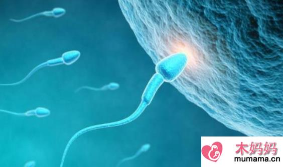 精子有颗粒是怎么回事 精液有颗粒是炎症吗