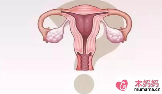 输卵管堵塞可以做试管婴儿吗 输卵管堵塞怎么样才能怀孕