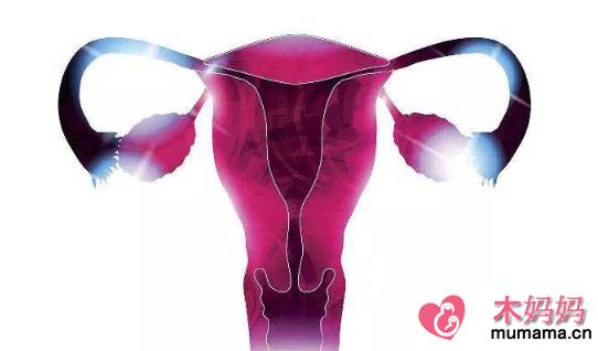 子宫位置异常怎么回事 子宫位置异常怎么确诊