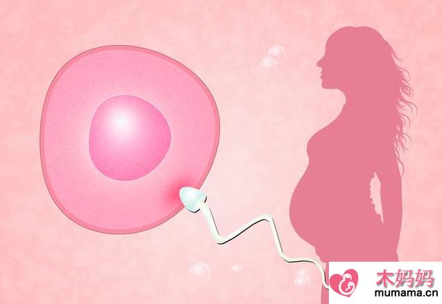排卵期隔天同房会错过排卵期吗 排卵期如何安排同房更容易受孕
