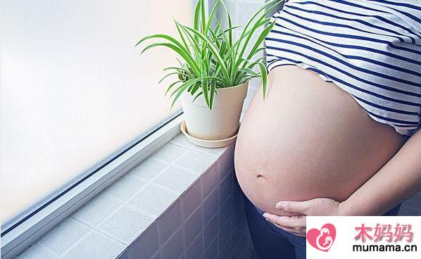 备孕期间抽烟喝酒千万不要做 备孕期间做好饮食安排才能怀孕
