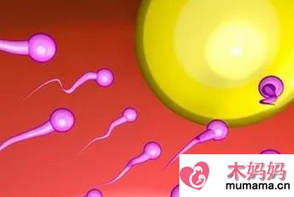 无精子症是什么 无精子症还能生孩子吗