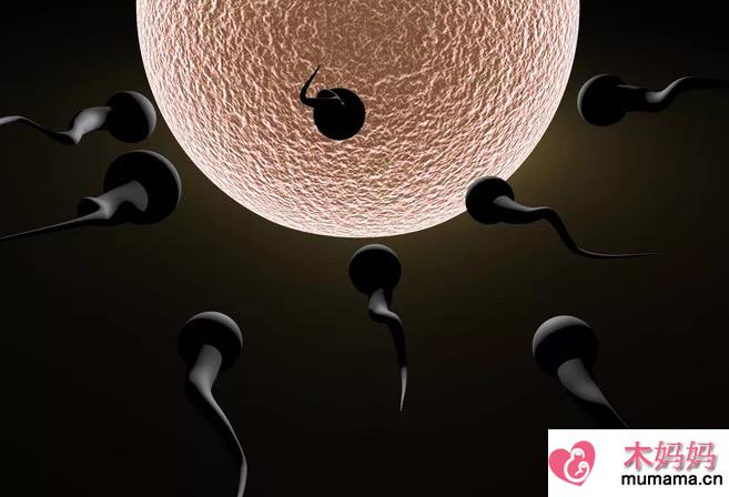 怎么看男子精子健不健康 男人吃什么可以补精子