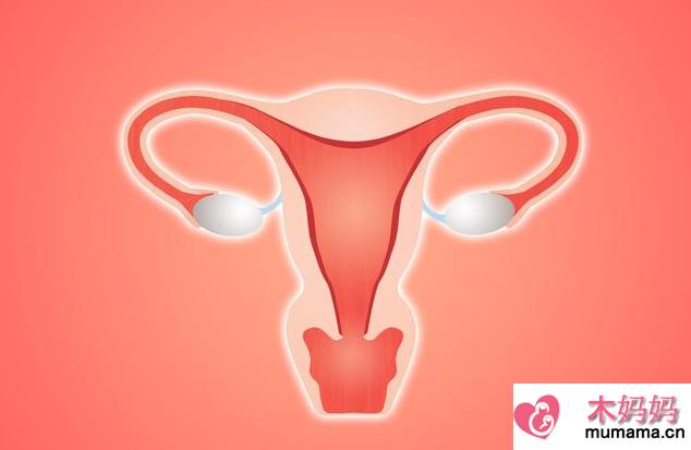 子宫内膜薄容易怀不上孩子吗 子宫内膜薄治疗方法