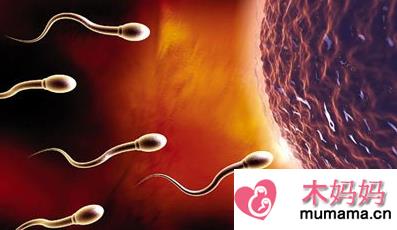 男性精子成活率低是什么原因 精子成活率低怎么治疗