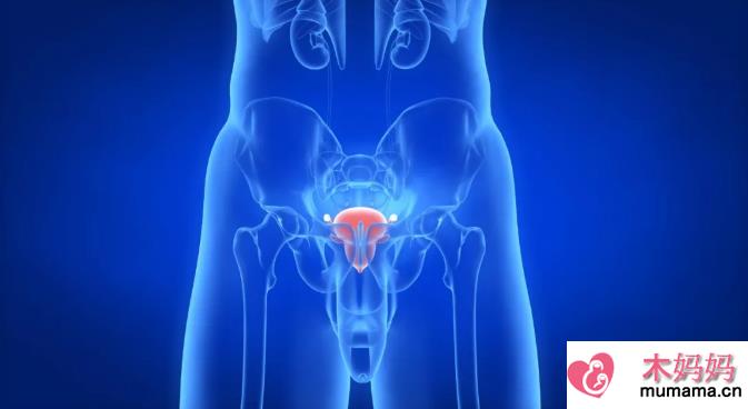 前列腺增生能自愈吗 前列腺增生对性生活有影响吗