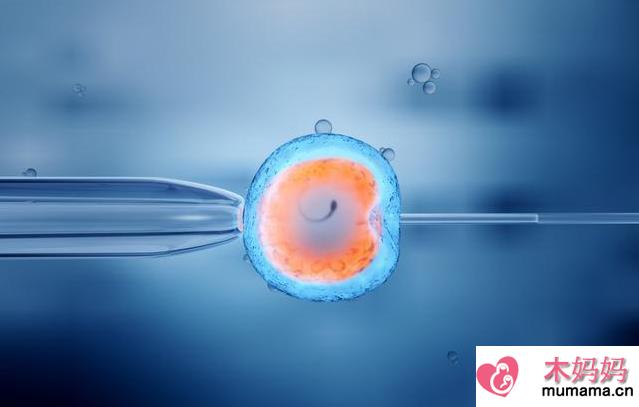 人工受精和人工授精有什么不同 人工受精和人工授精的区别