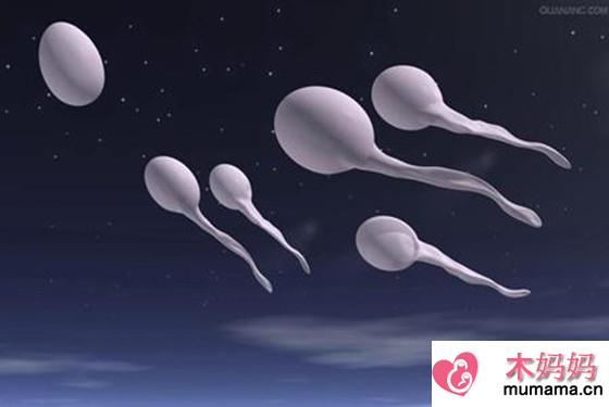 精子在女性体内存活时间 竟比卵子的存活时间短那么多