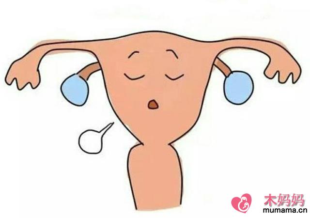 子宫内膜和生育之间的关系 子宫内膜厚度多少受精卵容易着床