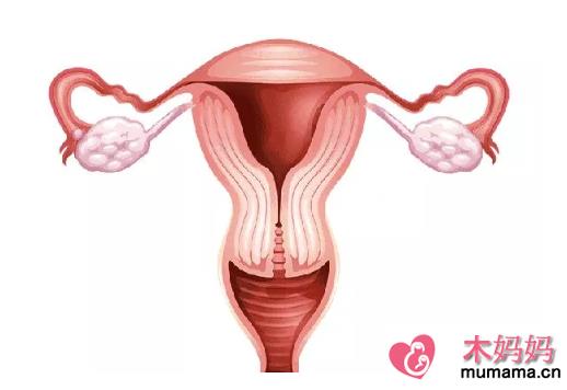 子宫内膜太厚不来月经怎么办 子宫内膜太厚影响月经吗
