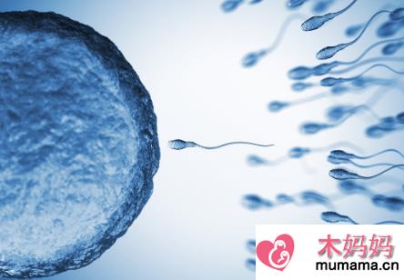人工授精多久可以验孕 人工授精第七天能测出怀孕吗