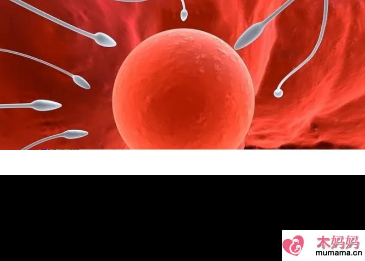 精子的成长发育过程是怎样的 男性精子会越用越少吗
