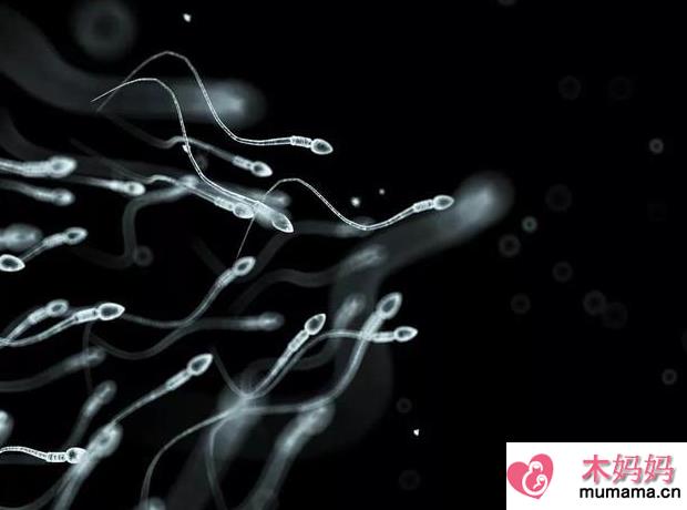 正常男性每次射出多少精子正常 精子多少时间不液化是异常的