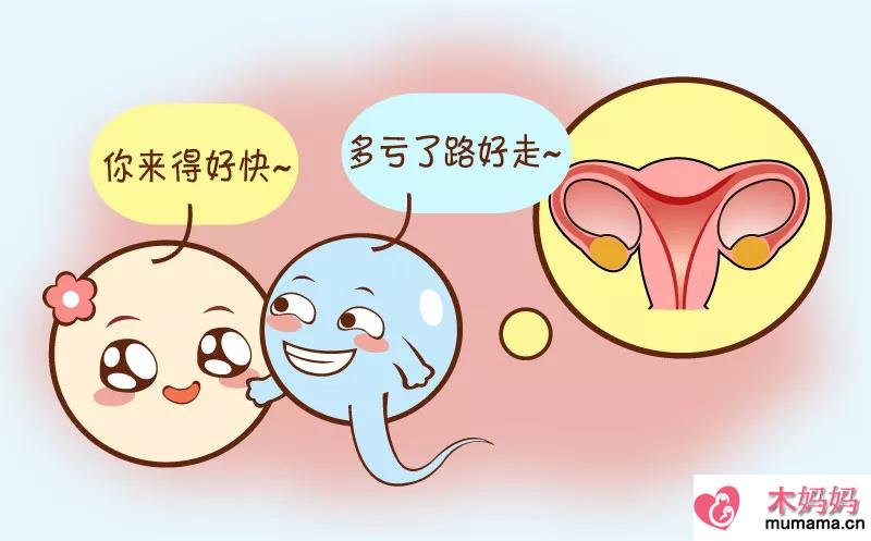 如何保护好输卵管 想怀孕输卵管如何保持清洁