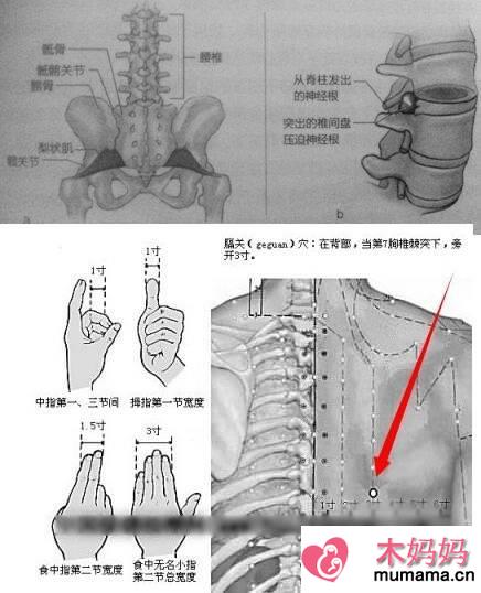 后背疼痛位置图详解：身体各个器官疼痛位置图片