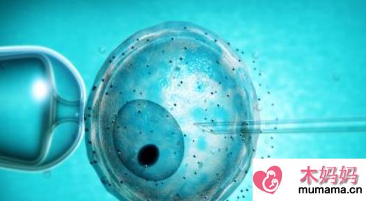 胚胎培养和囊胚培养一样吗 什么情况适合做囊胚培养