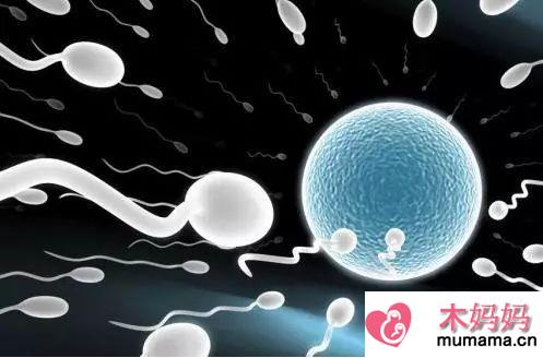 男性精子活力低会导致胎停育吗 男性精子活力低怎么备孕