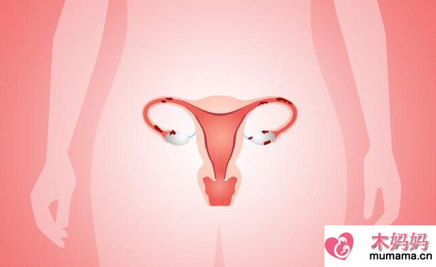 子宫内膜太薄有什么危害 子宫内膜薄如何调理