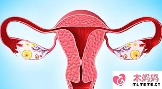 输卵管堵塞是吃药还是手术效果好 输卵管堵塞手术治疗方法