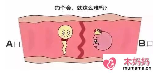 输卵管两边都堵塞了怎么办 输卵管两边堵塞只能做试管了吗