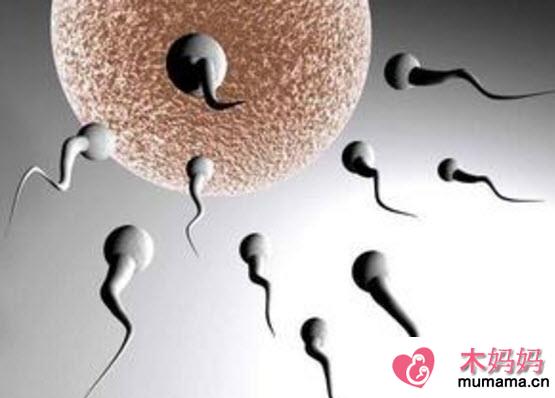 男性备孕期间注意事项 备孕精子禁欲几天最好