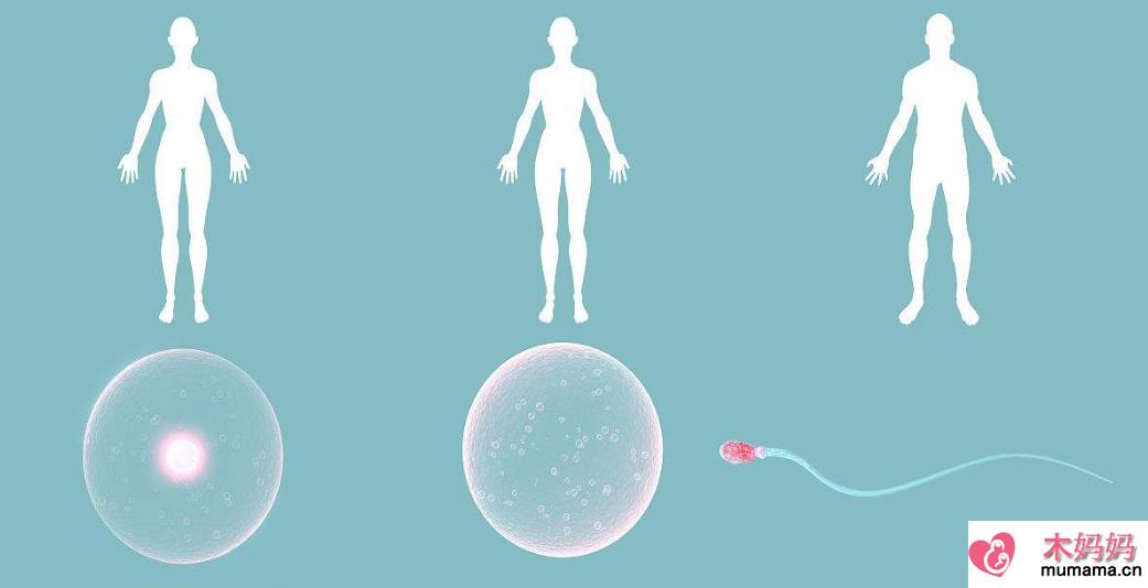 多囊卵巢对试管婴儿有什么影响 多囊卵巢对宝宝影响大吗