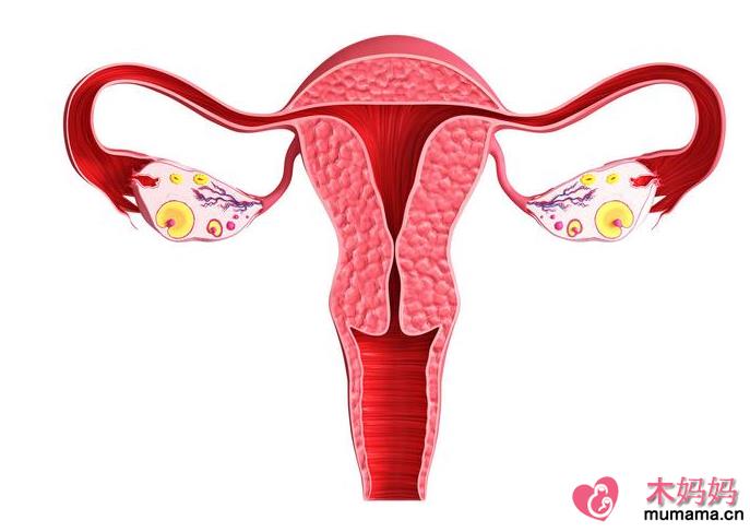 卵巢功能衰退还能自然怀孕吗 怎么判断卵巢功能好不好
