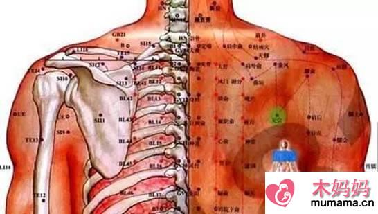 后背疼痛位置图详解：身体各个器官疼痛位置图片