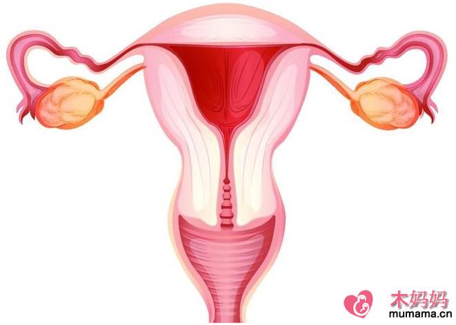 单角子宫能自然受孕吗 单角子宫怀孕可能会出现哪些问题