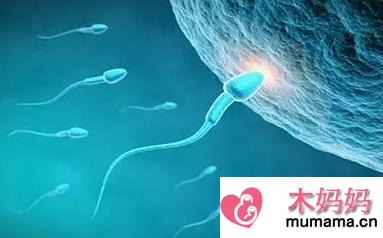 男性精子活力低有哪些表现 精子活力低能怀孕吗