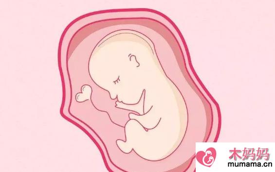 子宫内膜过薄带来哪些影响 子宫内膜太薄怎么回事