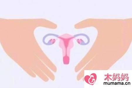 女人日常保养卵巢的两大方法
