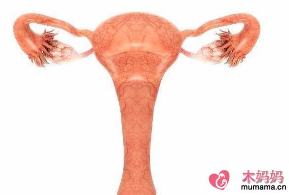 子宫内膜薄还是厚好 排卵期子宫内膜厚度多少正常
