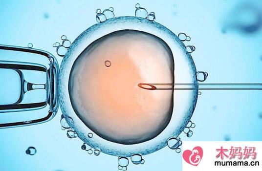 卵裂期胚胎与囊胚移植的区别 卵裂期胚胎和囊胚有什么不同