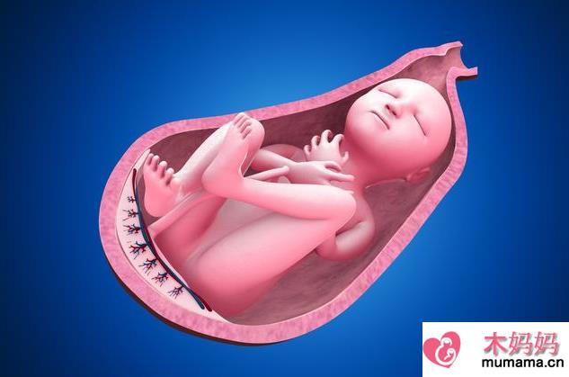 单角子宫能自然受孕吗 单角子宫怀孕可能会出现哪些问题
