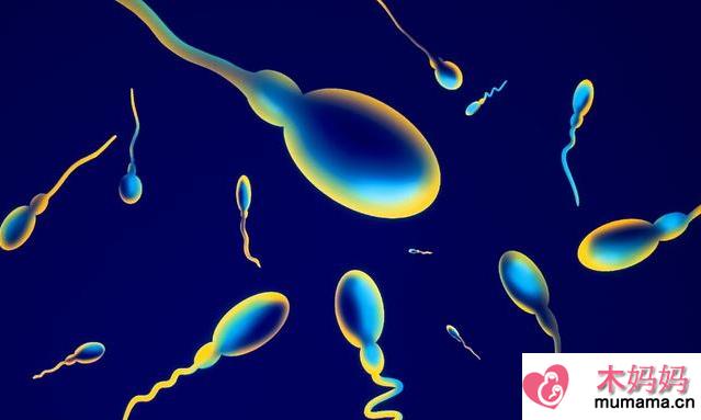 精子畸形率高会影响怀孕吗 男性精子畸形率高该怎么办